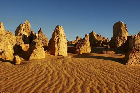 Full Day Pinnacle Desert Explorer From Perth Including Hillarys And Lancelin Sandboarding - ACT Tourism 3