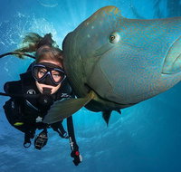 Great Barrier Reef Snorkeling and Diving Cruise from Cairns - ACT Tourism