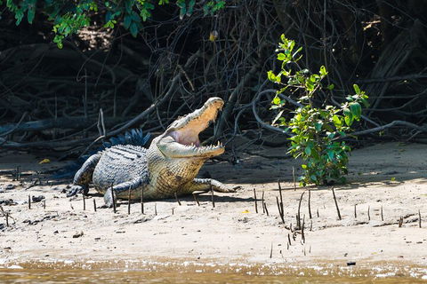 Full Day Cooktown Private Tour - ACT Tourism 4