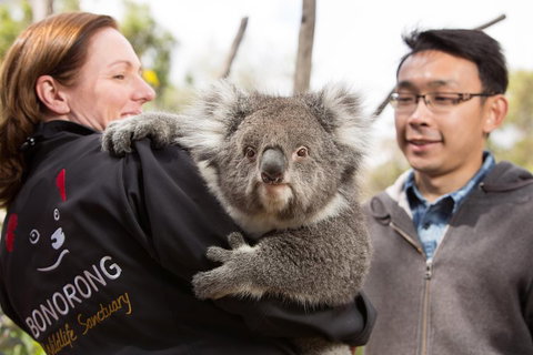 Bonorong Wildlife Park And Richmond Afternoon Tour From Hobart - ACT Tourism 0