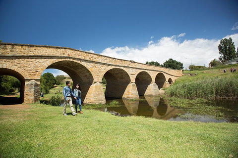Bonorong Wildlife Park And Richmond Afternoon Tour From Hobart - ACT Tourism 2