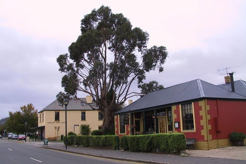 Bonorong Wildlife Park And Richmond Afternoon Tour From Hobart - ACT Tourism 3