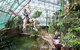 Cairns ZOOM And Wildlife Dome - thumb 4