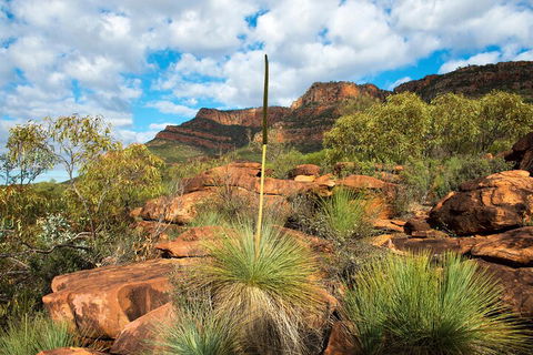 6-Day Eyre Peninsula & Flinders Ranges Adventure Tour - ACT Tourism 1
