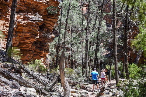 6-Day Eyre Peninsula & Flinders Ranges Adventure Tour - ACT Tourism 5