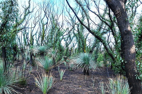 NEW TOUR - Kangaroo Island Road To Recovery Tour (1 Day/1 Night) - ACT Tourism 3