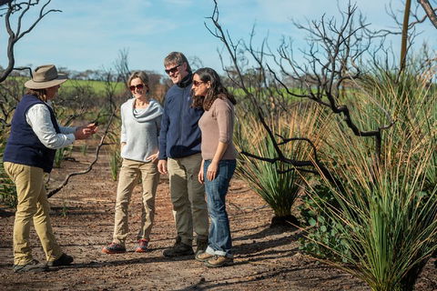 NEW TOUR - Kangaroo Island Road To Recovery Tour (1 Day/1 Night) - ACT Tourism 4