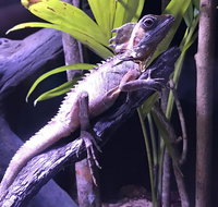 Cairns Aquarium Admission Ticket - ACT Tourism