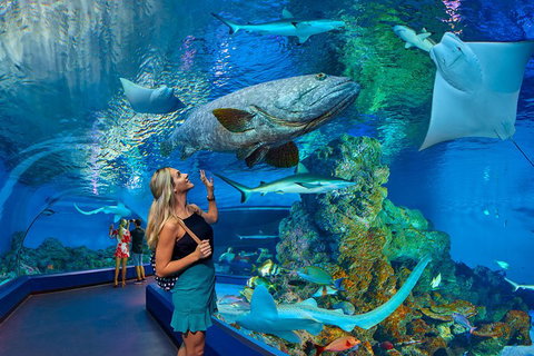 Cairns Aquarium Admission Ticket - ACT Tourism 3
