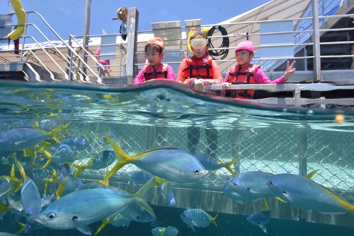 Cairns QLD ACT Tourism