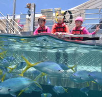 Outer Reef Pontoon Experience from Cairns - ACT Tourism