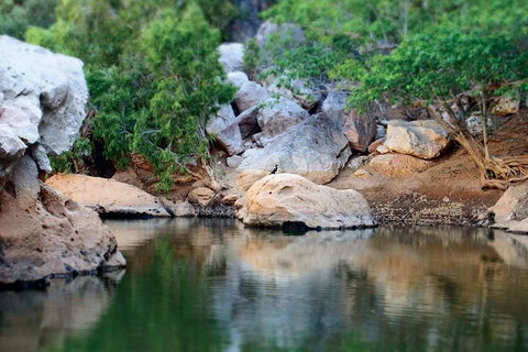 Windjana Gorge And Tunnel Creek 4WD Tour From Broome - ACT Tourism 5