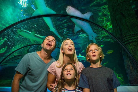 SEA LIFE Sunshine Coast Aquarium Entrance Ticket - ACT Tourism 3
