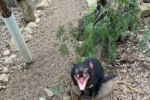 Featherdale Wildlife Park General Admission - ACT Tourism 1