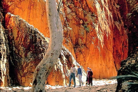 West MacDonnell Ranges Day Trip From Alice Springs - ACT Tourism 3