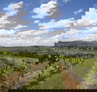 Hunter Valley Wine Tour from Sydney incl Lunch Cheese Chocolate and Distillery - ACT Tourism