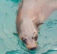 Wilsons Promontory Full Day Cruise