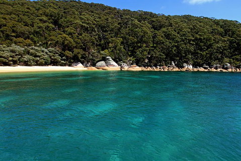 Wilsons Promontory Full Day Cruise - ACT Tourism 4