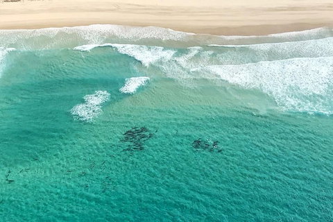 Coastal Helicopter Shared Flight - 20 Minutes - ACT Tourism 4