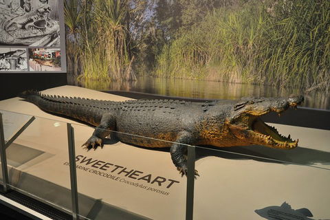 Explore Darwin City Sights Including Key Attractions - ACT Tourism 2