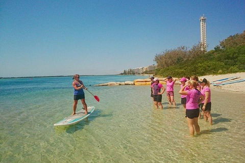Golden Beach 1-Hour Stand-Up Paddleboard Hire On The Sunshine Coast - ACT Tourism 1