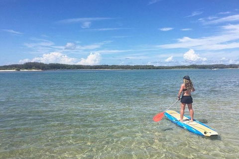 Golden Beach 1-Hour Stand-Up Paddleboard Hire On The Sunshine Coast - ACT Tourism 4