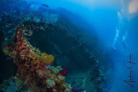 Scuba Dive The S.S. Yongala Wreck On The Great Barrier Reef. - ACT Tourism 3