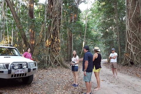 Great Beach Drive 4WD Tour - Private Charter From Noosa To Rainbow Beach - ACT Tourism 1